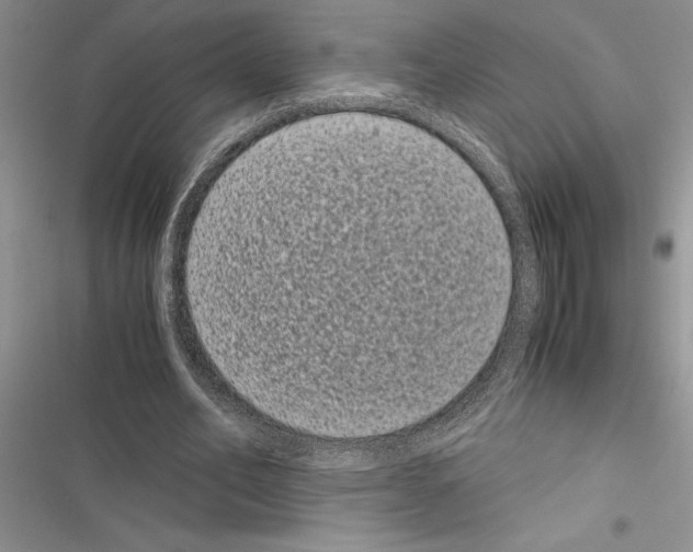 X0000116600582201001221259