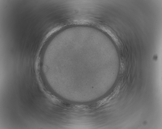 X0000116600583201001221259