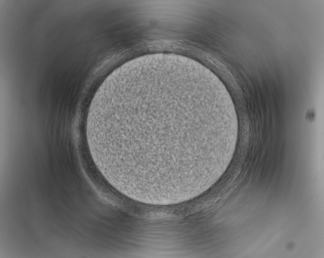X0000116600586201001221259