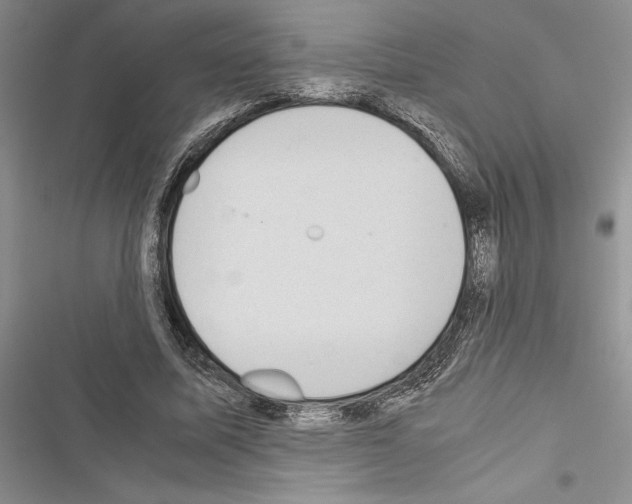 X0000116600587201001221259