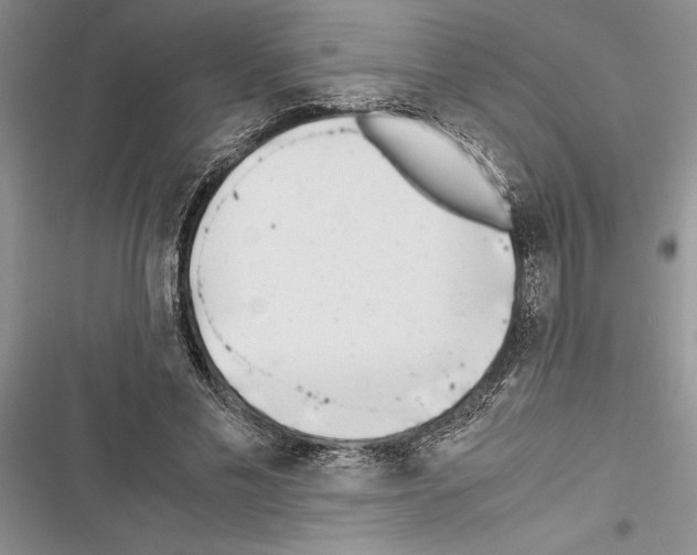 X0000116600589201001221259