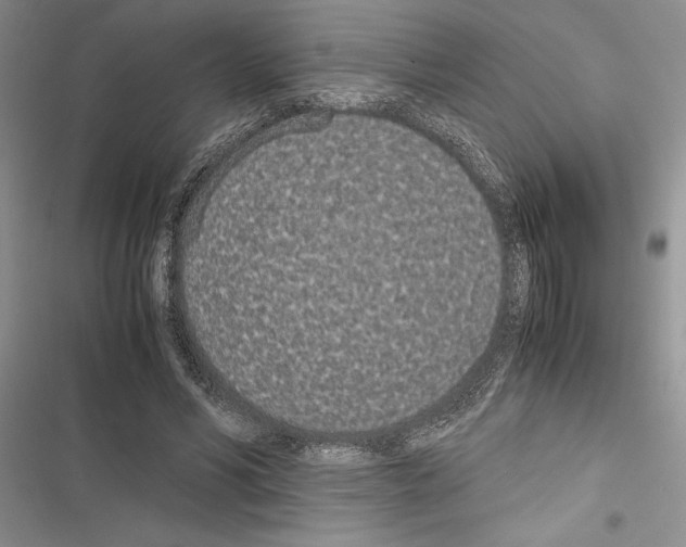 X0000116600590201001221259