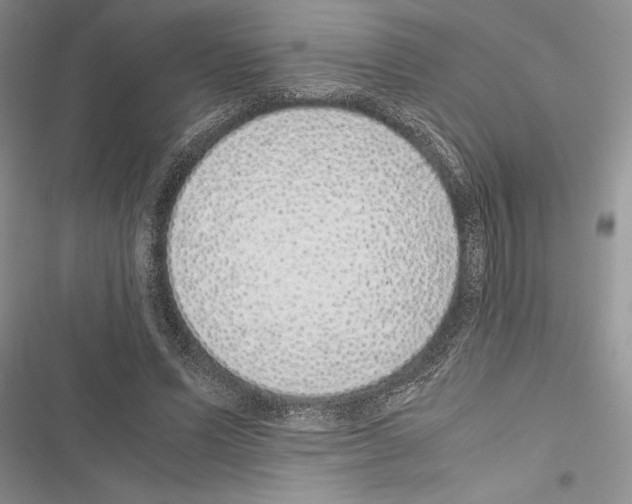 X0000116600591201001221259