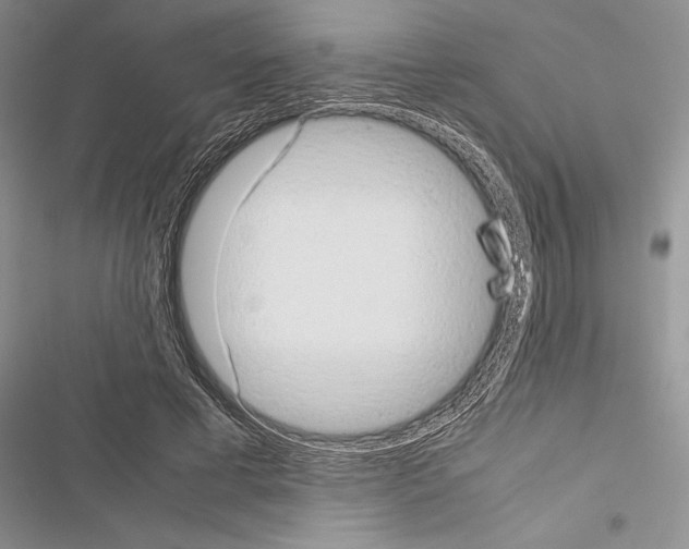 X0000116600593201001221259