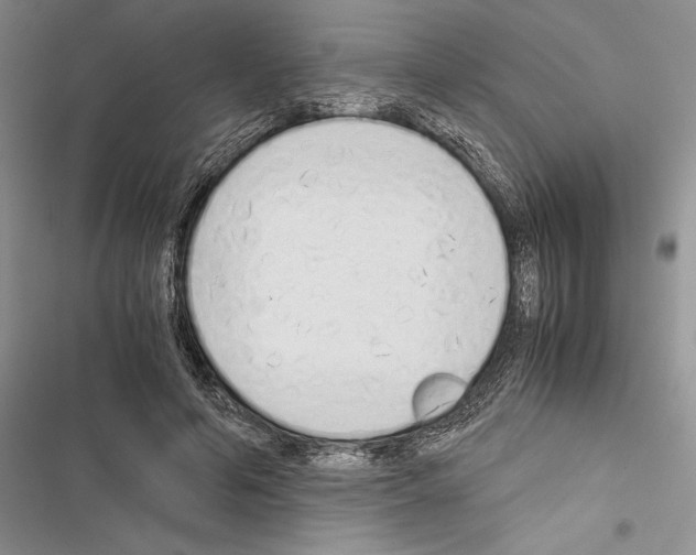 X0000116600594201001221259