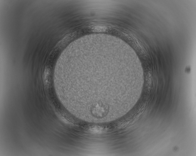 X0000116600598201001221259