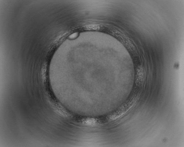 X0000116600600201001221259