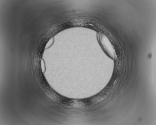 X0000116600601201001221259