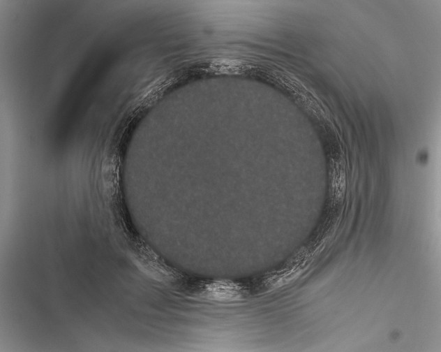 X0000116600603201001221259