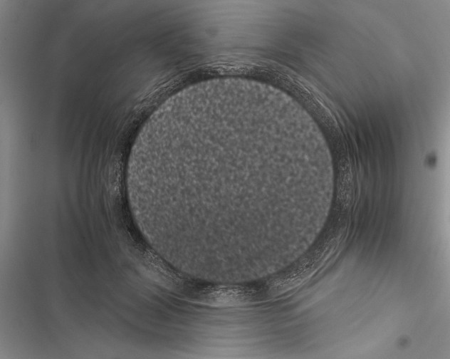 X0000116600604201001221259