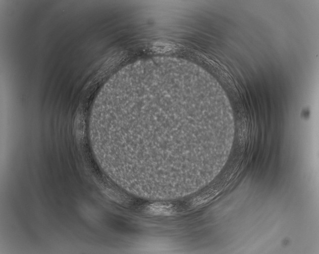 X0000116600606201001221259