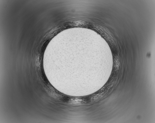 X0000116600607201001221259