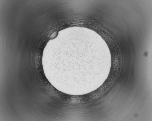 X0000116600608201001221259
