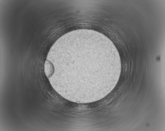 X0000116600609201001221259