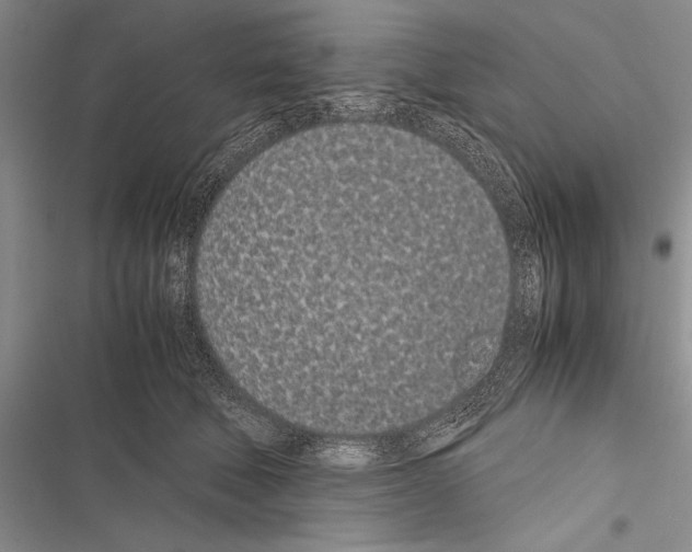 X0000116600610201001221259