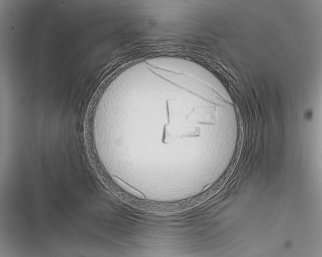 X0000116600611201001221259