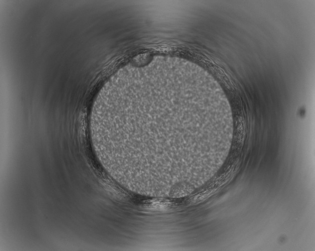 X0000116600612201001221259