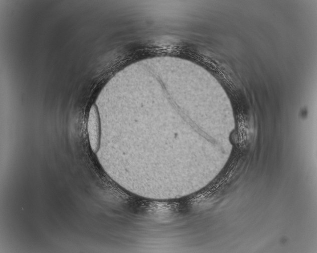 X0000116600613201001221259