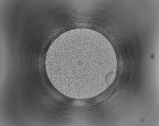 X0000116600614201001221259