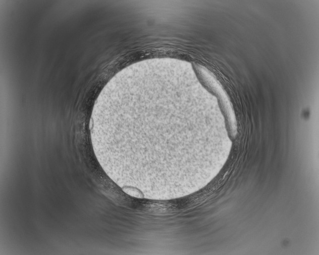X0000116600615201001221259