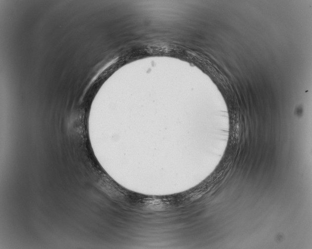 X0000116600616201001221259
