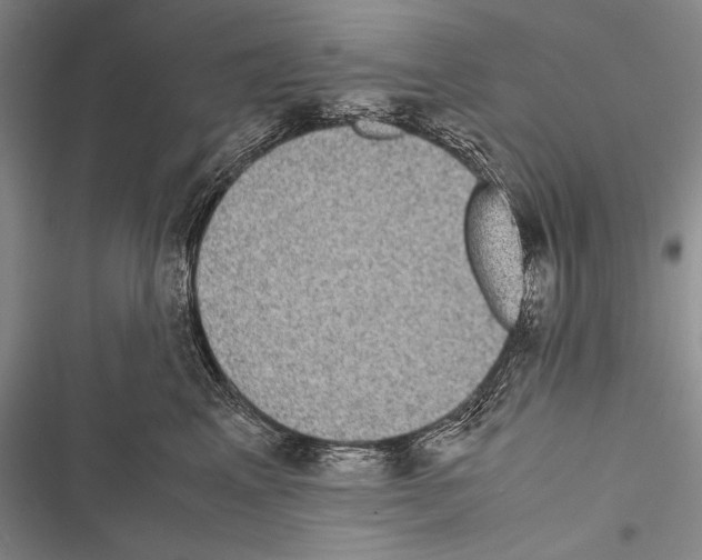 X0000116600617201001221259