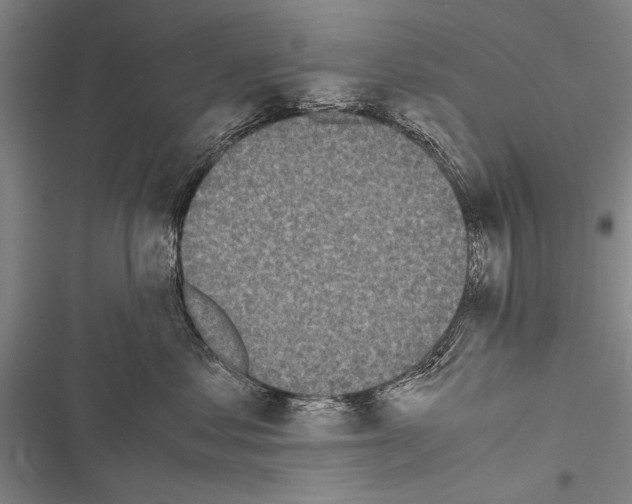 X0000116600621201001221259