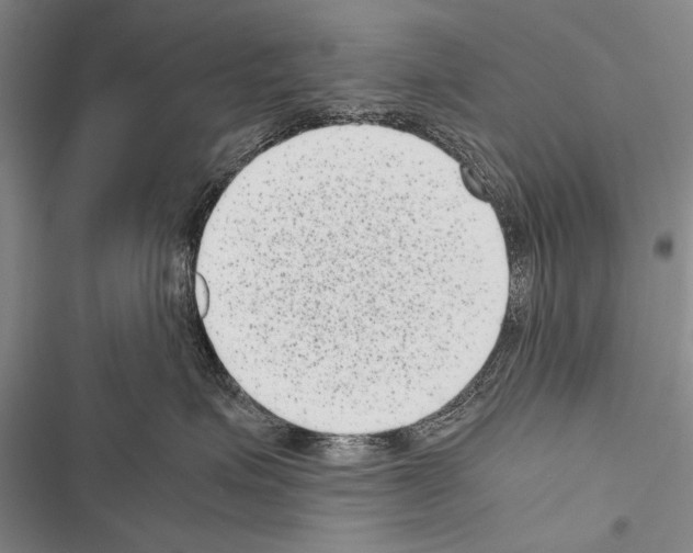 X0000116600623201001221259