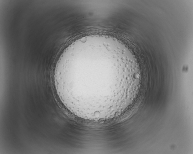 X0000116600624201001221259