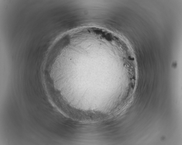 X0000116600625201001221258