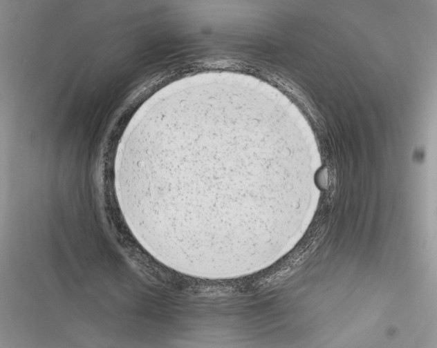 X0000116600626201001221258