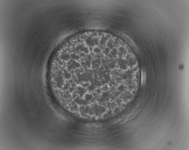 X0000116600627201001221258