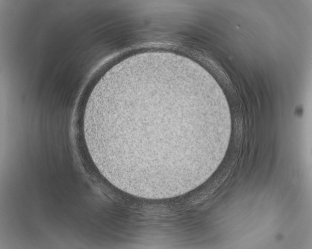 X0000116600628201001221258