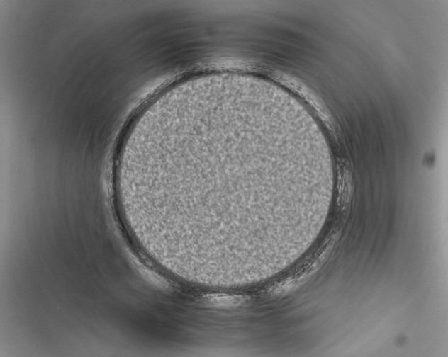 X0000116600629201001221258