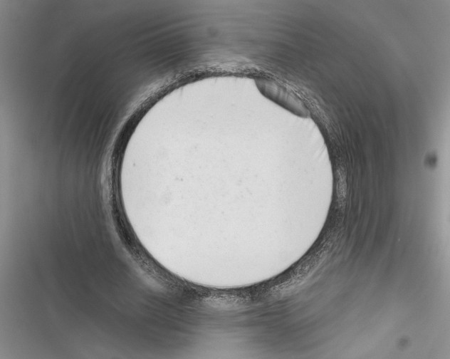 X0000116600630201001221258