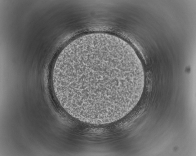 X0000116600631201001221258