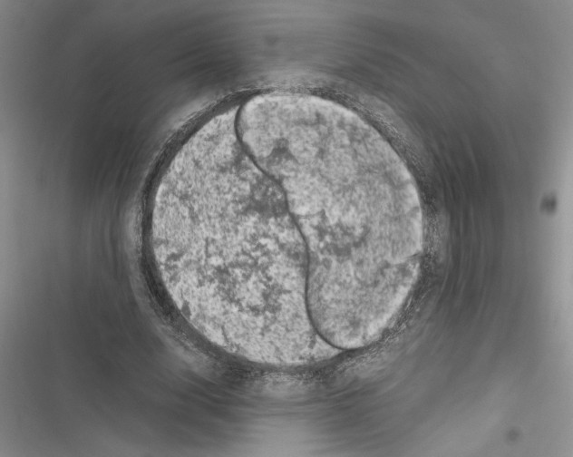 X0000116600632201001221258