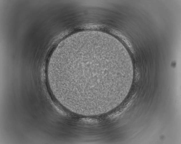 X0000116600633201001221258