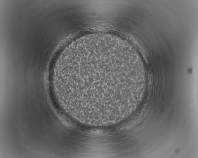 X0000116600634201001221258