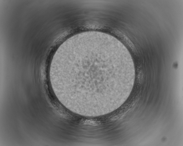 X0000116600635201001221258