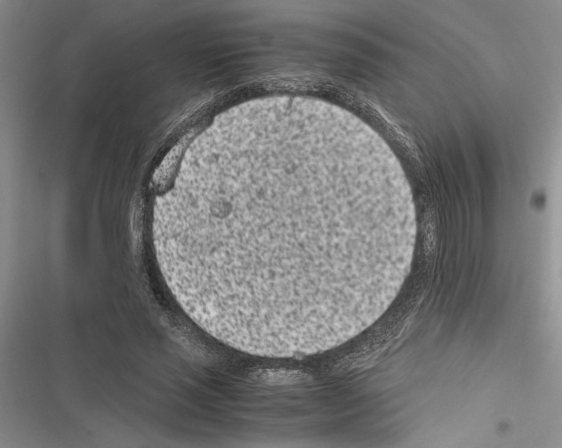 X0000116600637201001221258