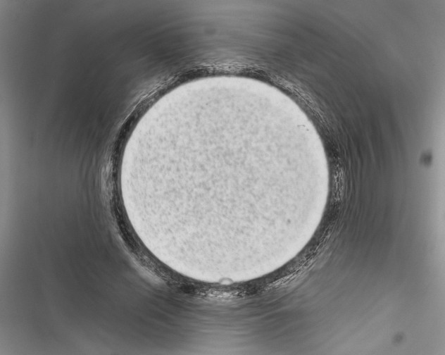 X0000116600638201001221258