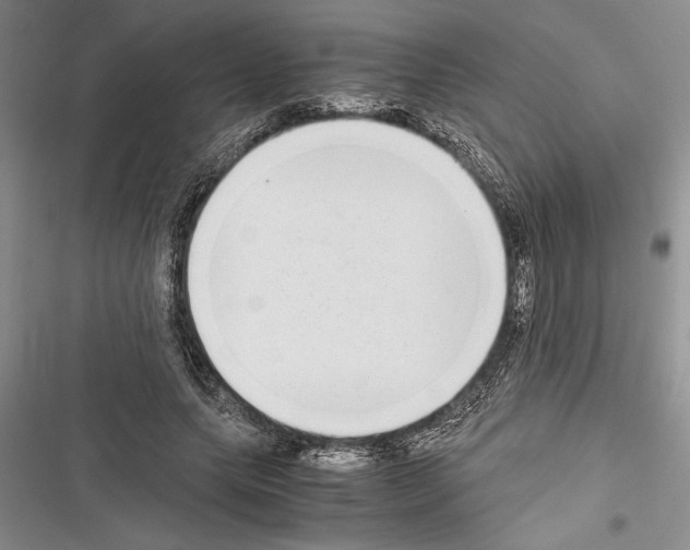 X0000116600639201001221258