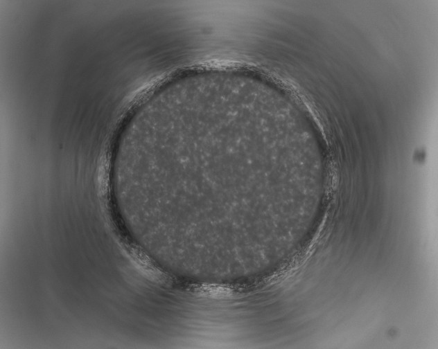 X0000116600640201001221258