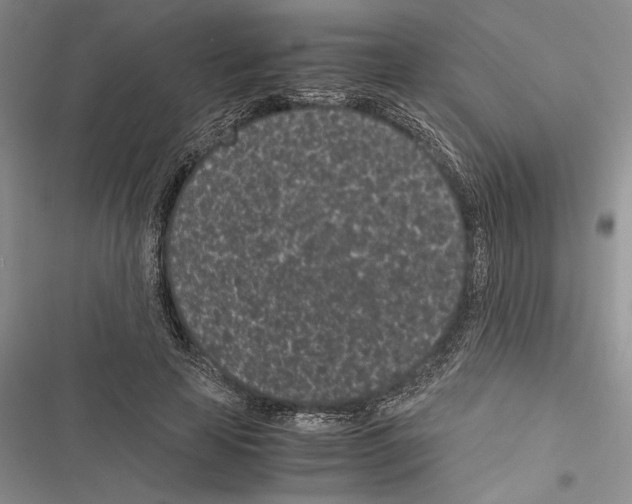 X0000116600641201001221258