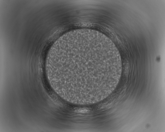 X0000116600643201001221258