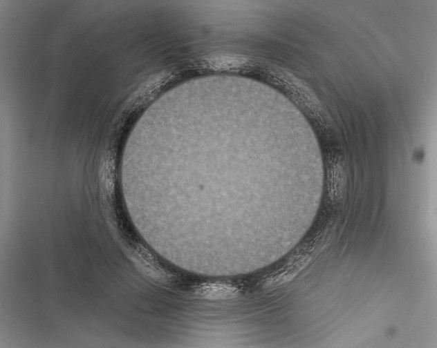 X0000116600644201001221258