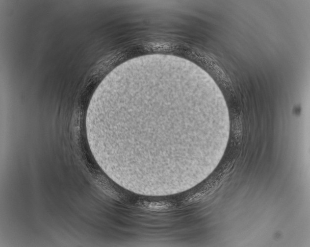 X0000116600645201001221258