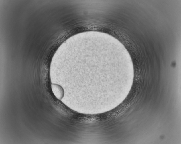 X0000116600646201001221258