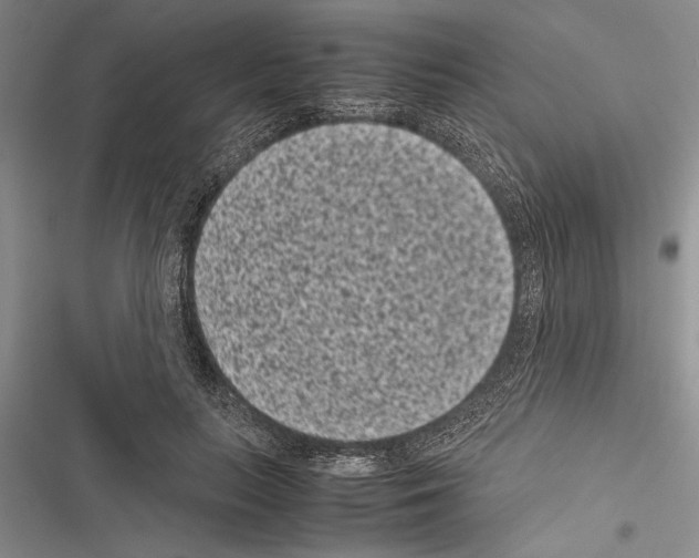 X0000116600647201001221258